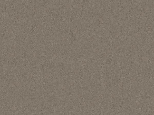 Modena 5T08 greige – rechteckige Draufsicht auf modernen greigefarbenen Veloursboden als Meterware